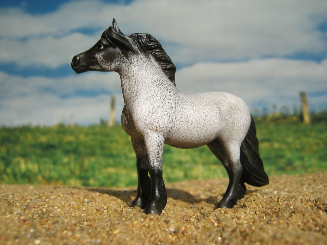 SM Pony 3