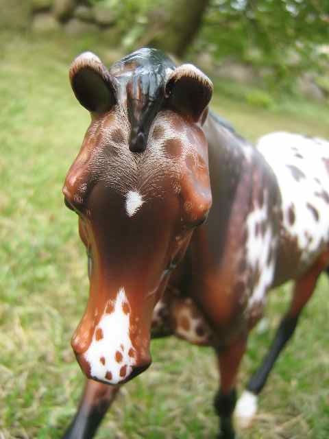 Strapless 2 Portrait