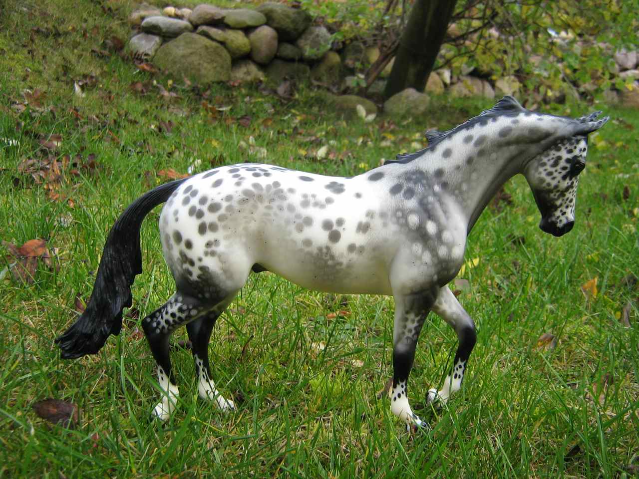 Magic
                        (1)