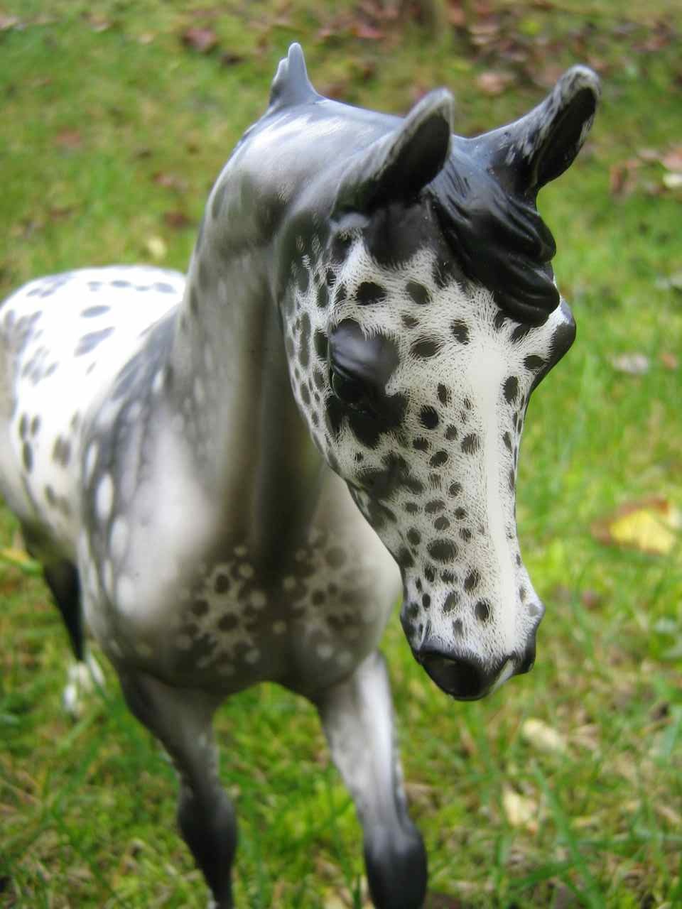 Magic
                        Portrait