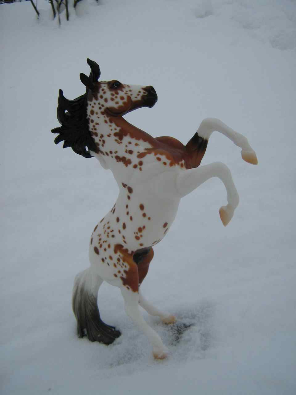 Silver
                        (1)