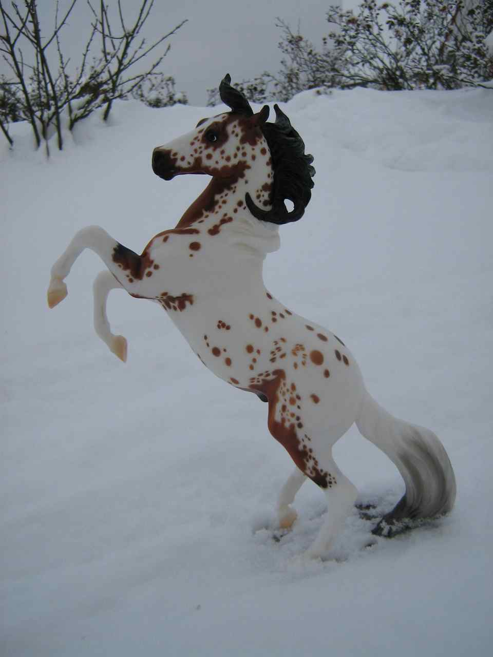 Silver
                        (2)