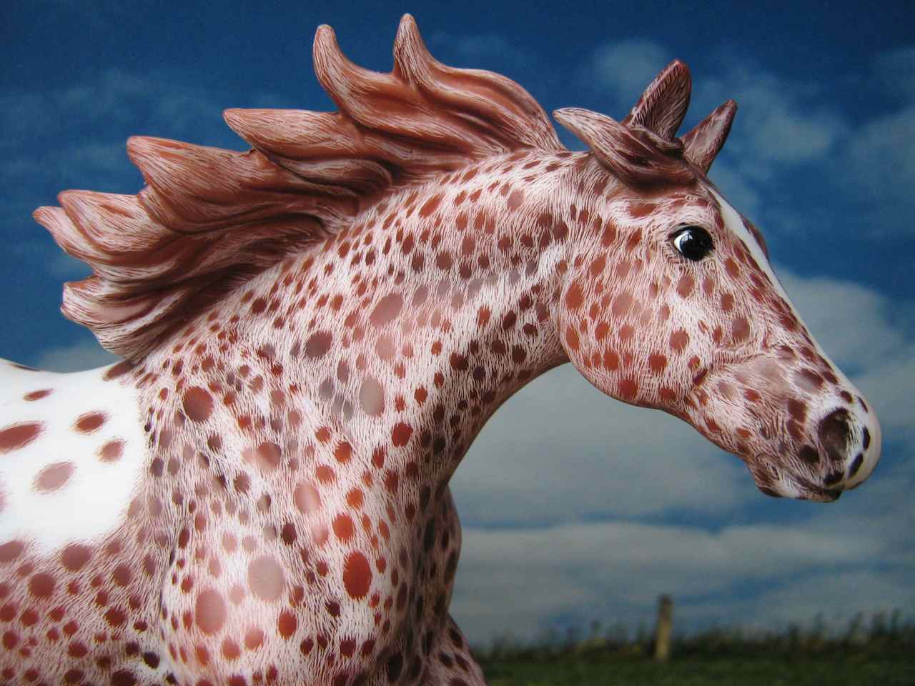 Classic QH Portrait (1)