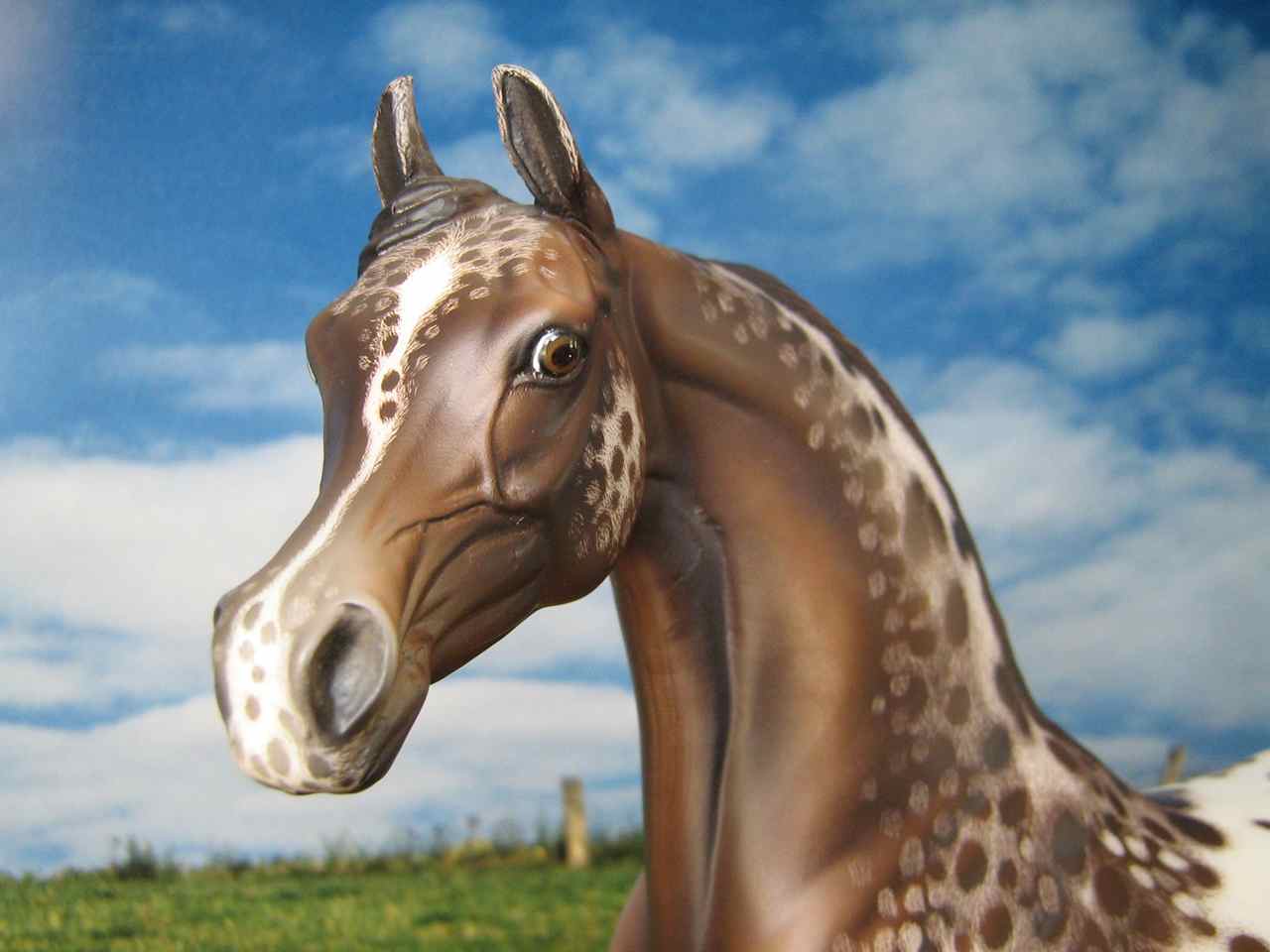 PS
                        Araber Portrait