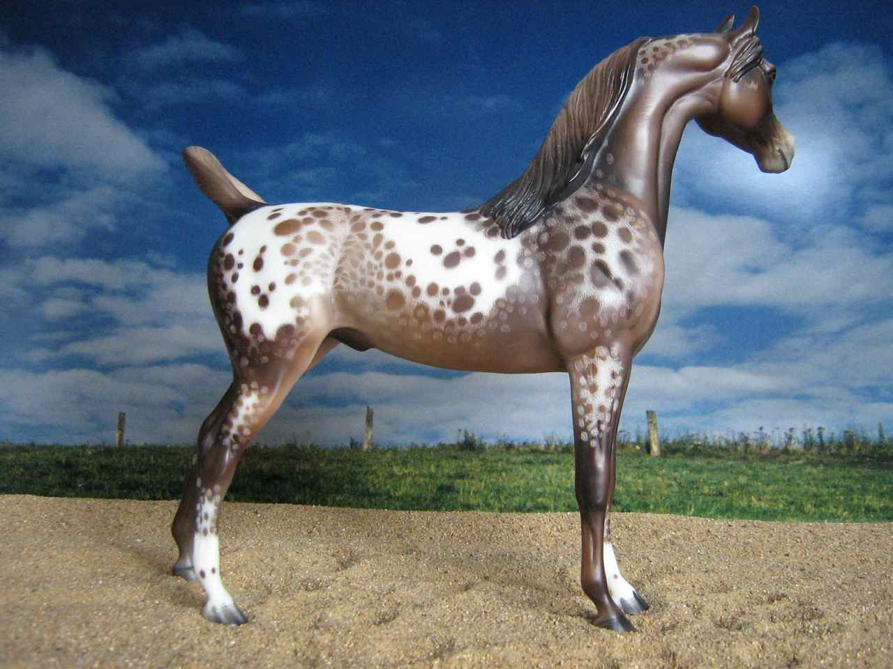 PS
                        Araber (1)