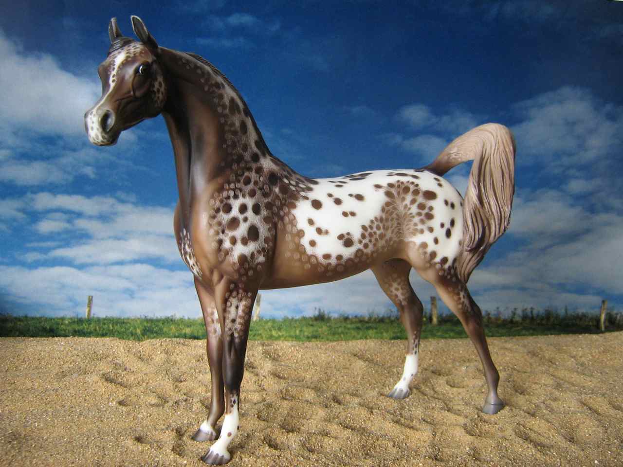 PS
                        Araber (2)