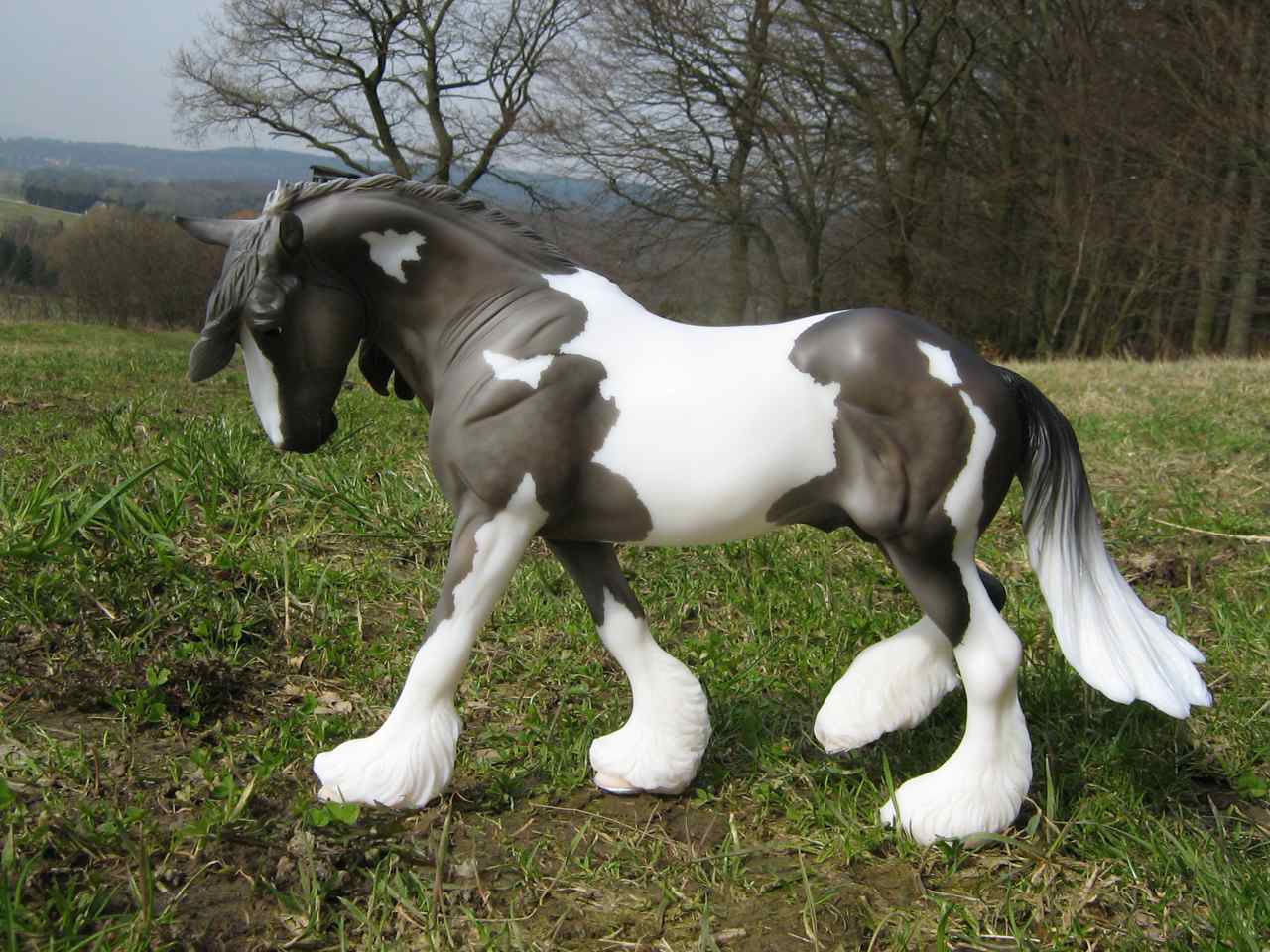 Summer
                        Original