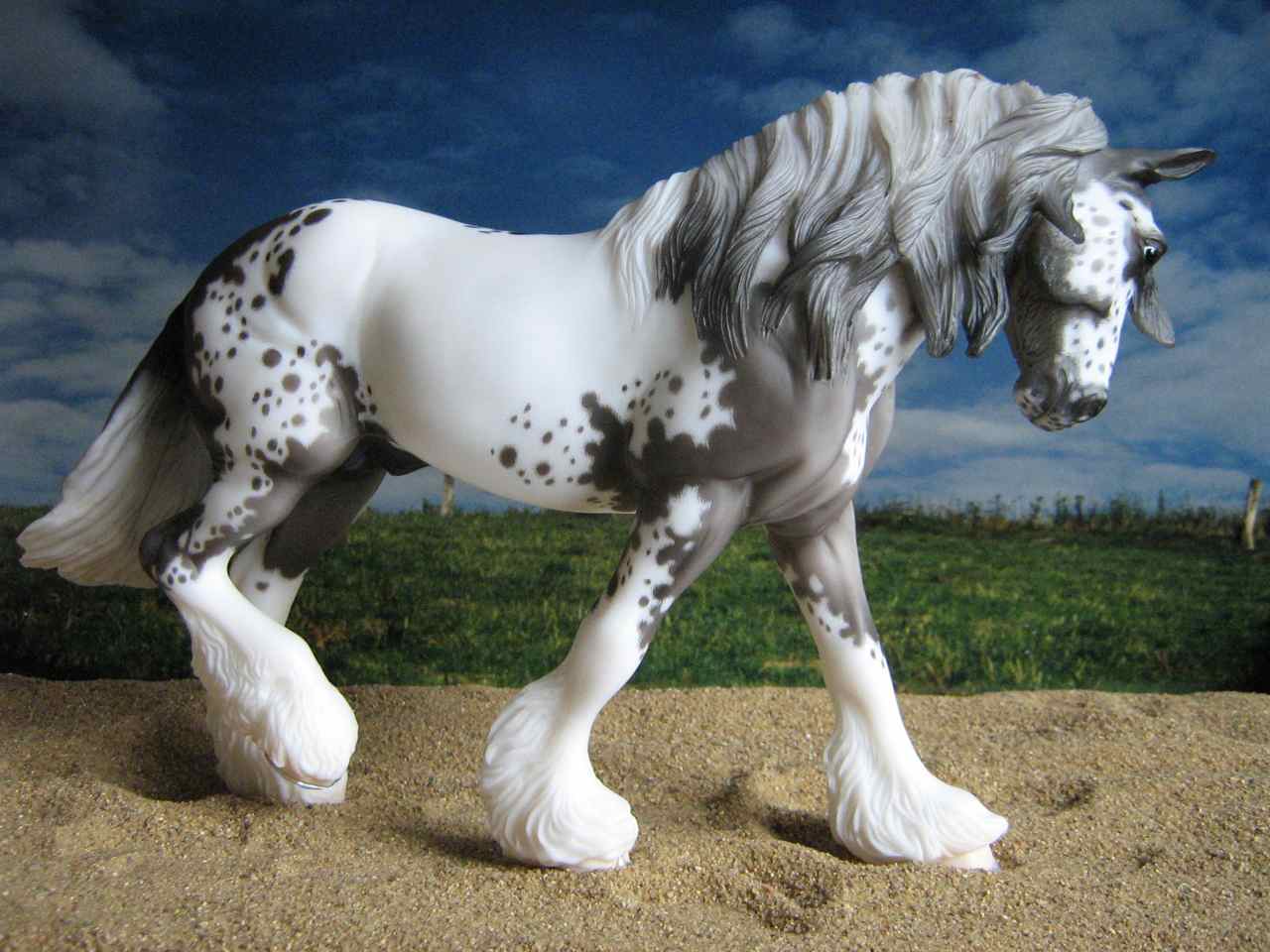 Summer
                        (1)