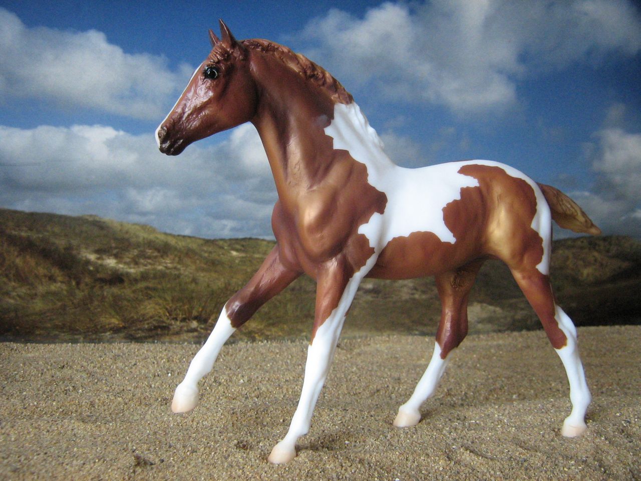 Action Stock Horse Foal
                    (1)