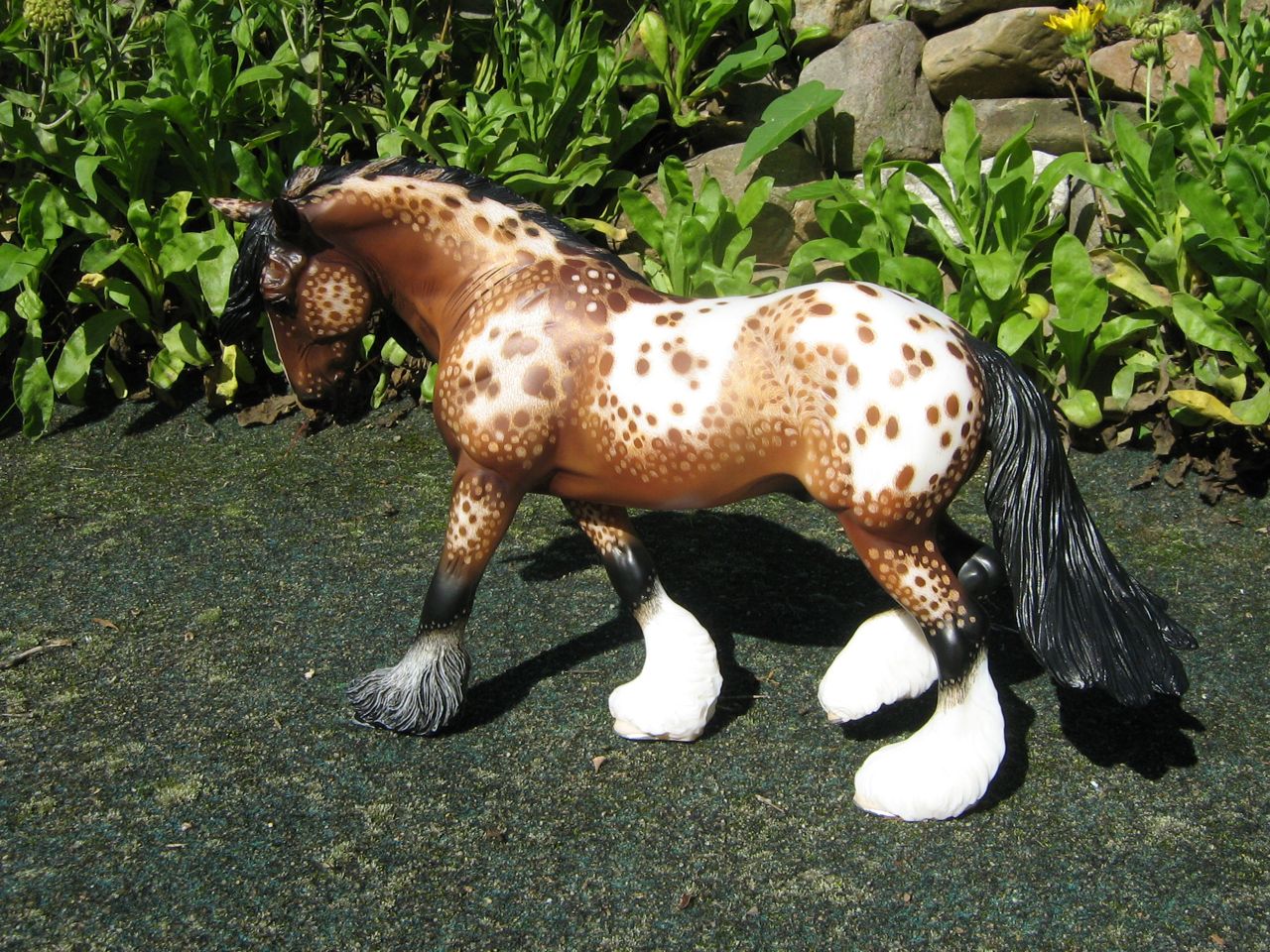 Trad. Shire braun (2)