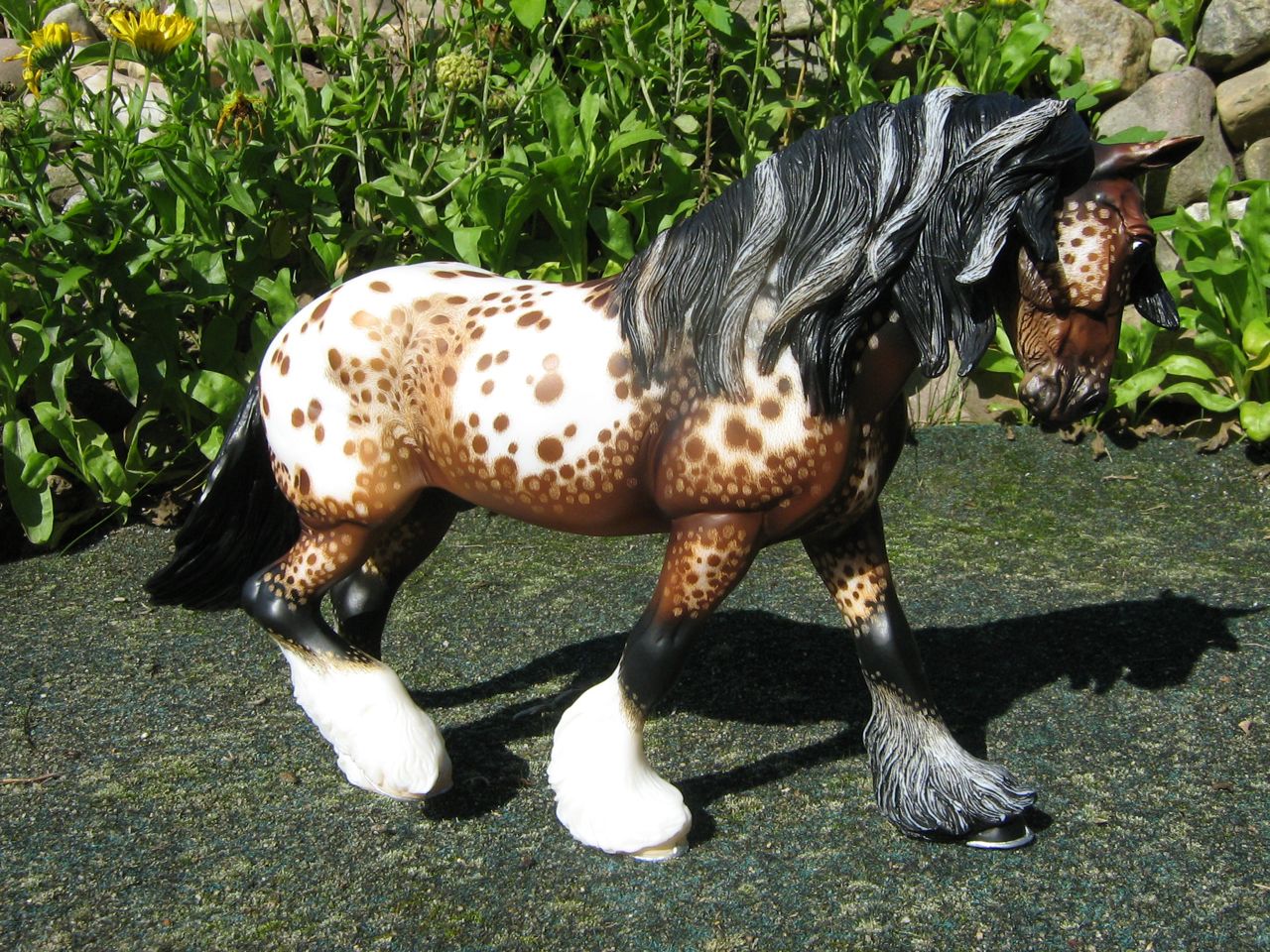 Trad. Shire braun (3)