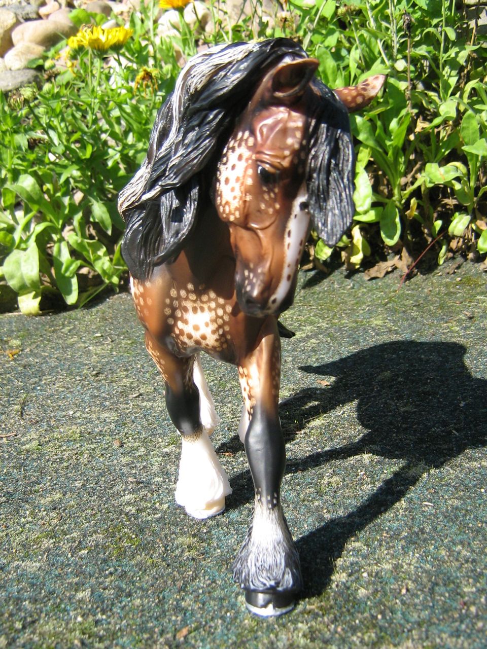 Trad. Shire braun (4)