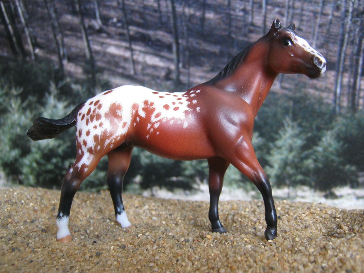 QH Stallion 2