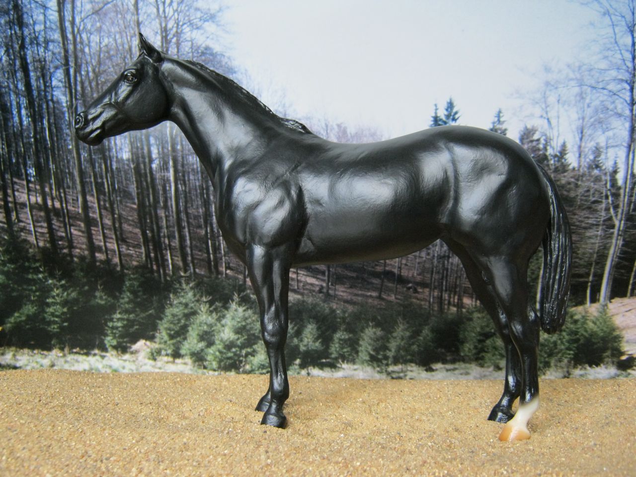 Lady Phase
                      Rappe 1