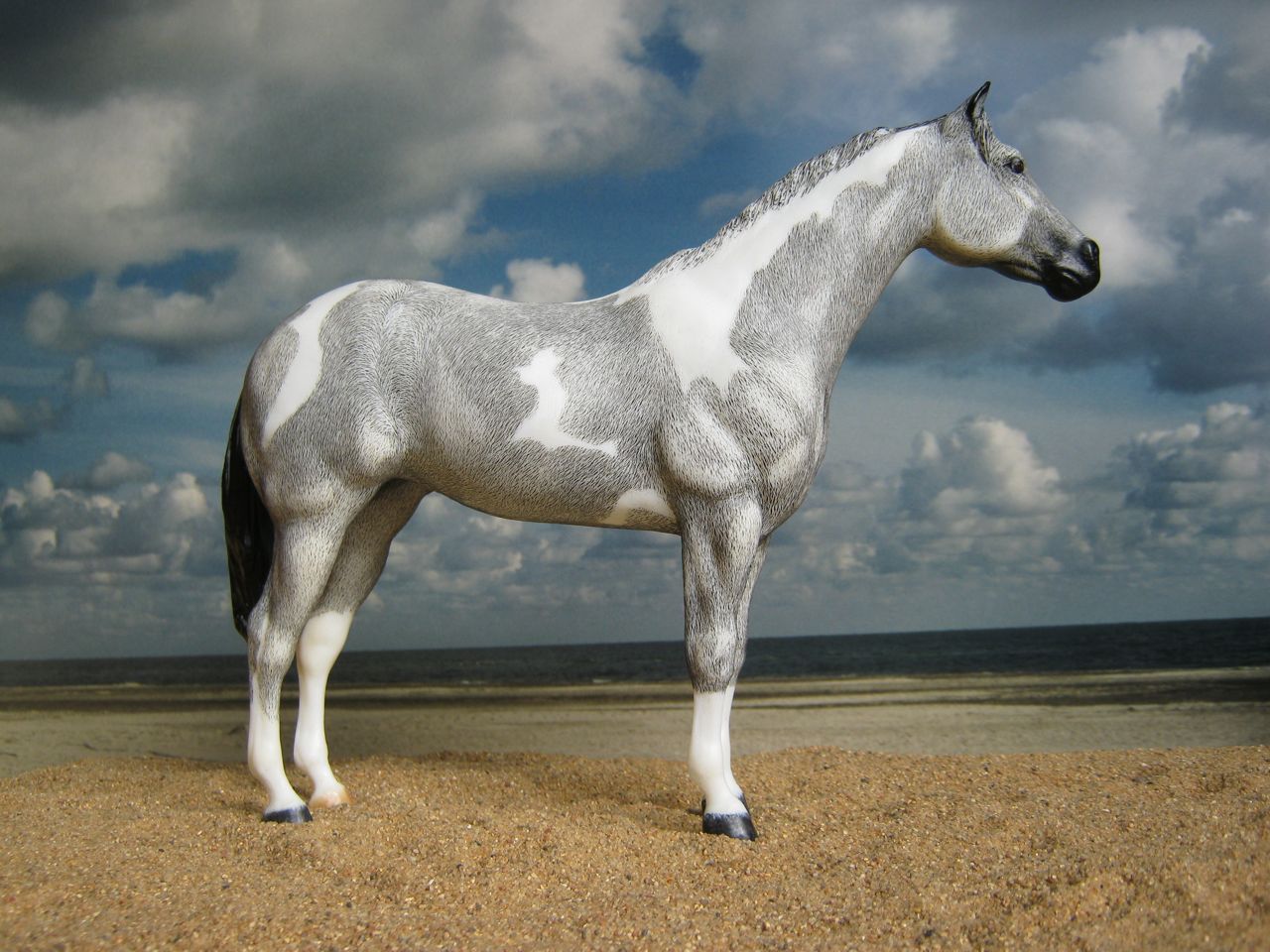 Lady Phase
                      Rappe 3