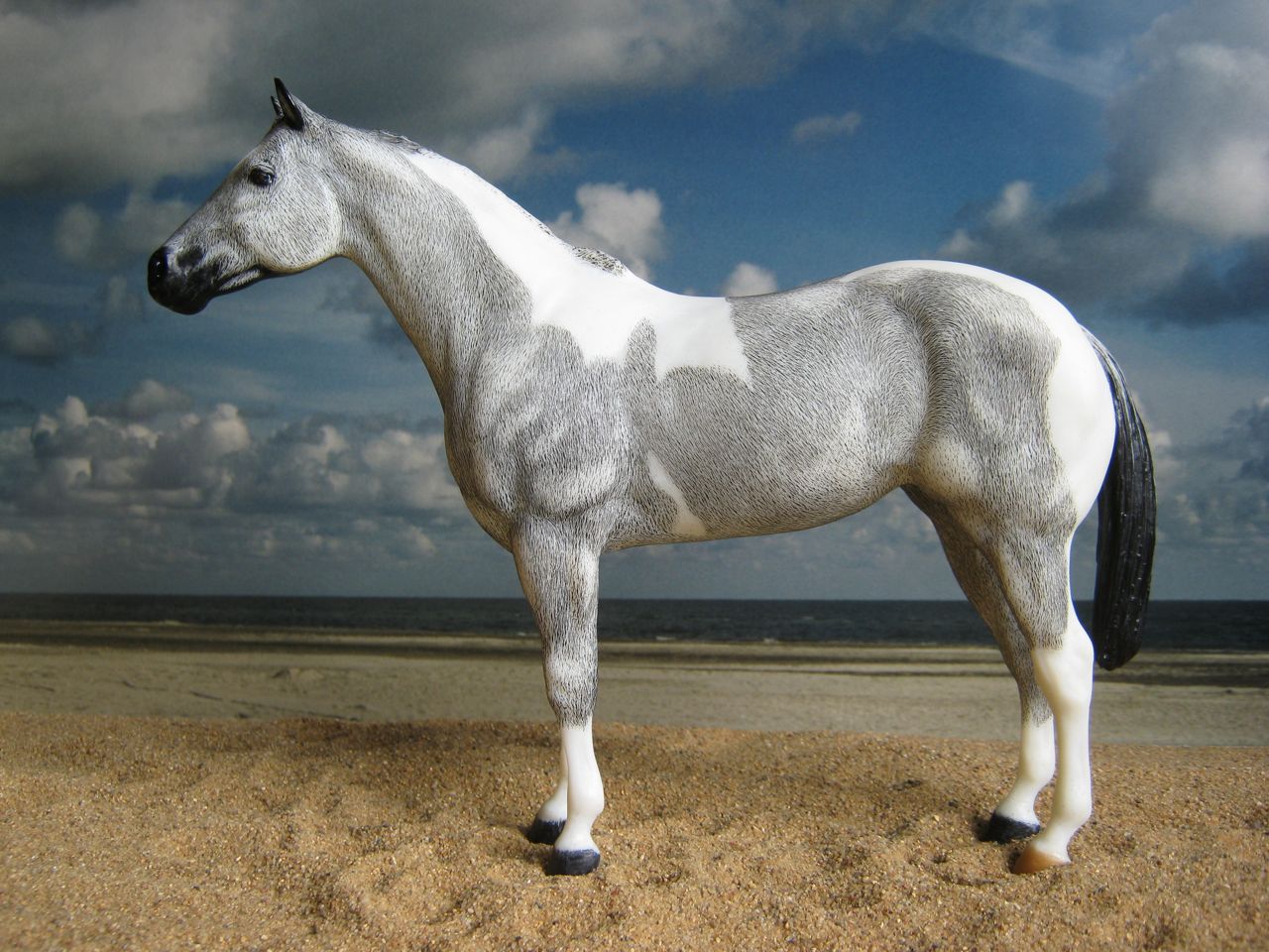 Lady Phase
                      Rappe 2