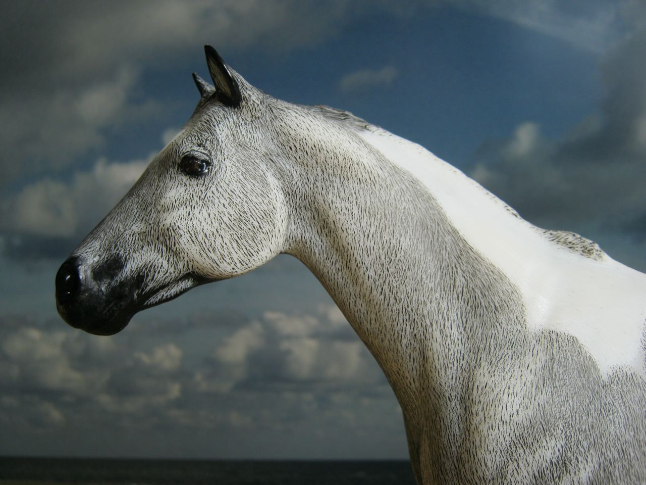 Lady Phase
                      Rappe 4