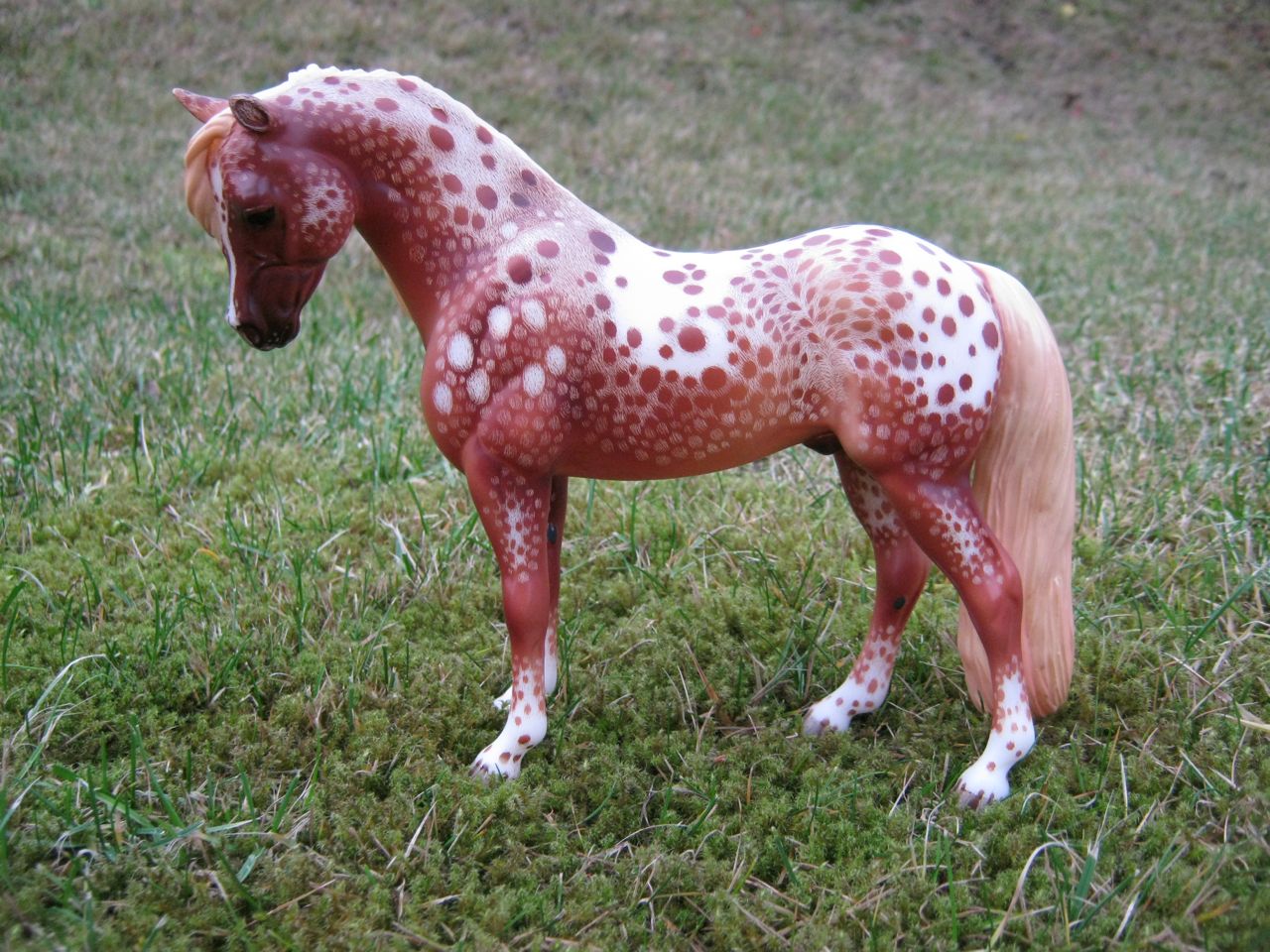 Apple
                      Jack 2