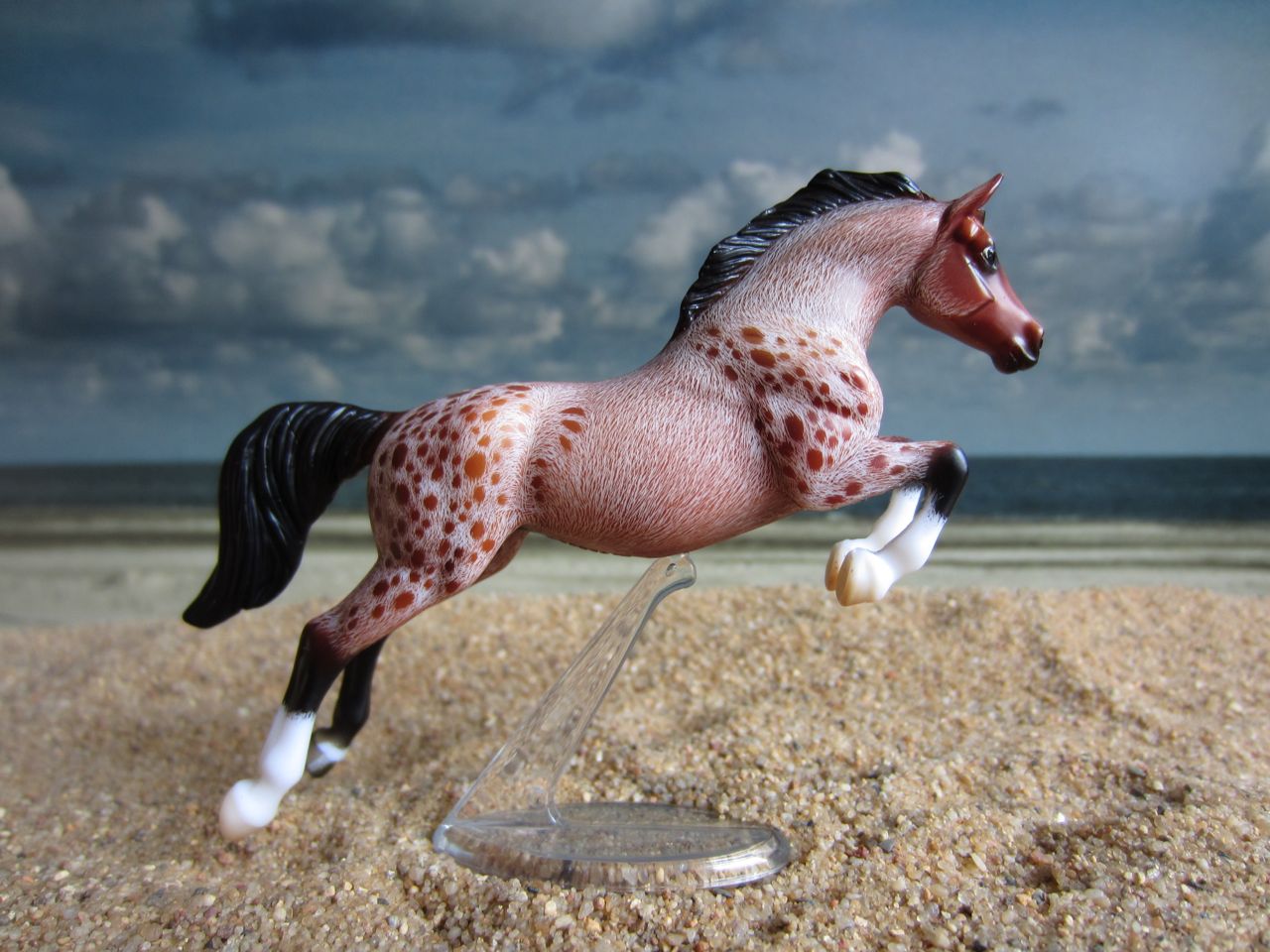 WEG
                      braun 2