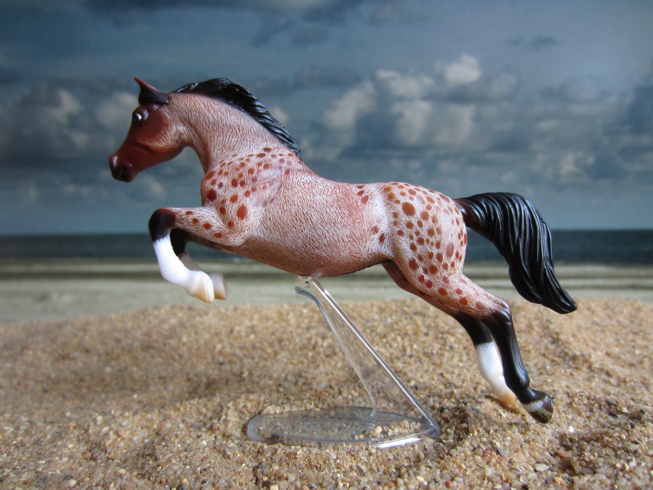 WEG
                      braun 3