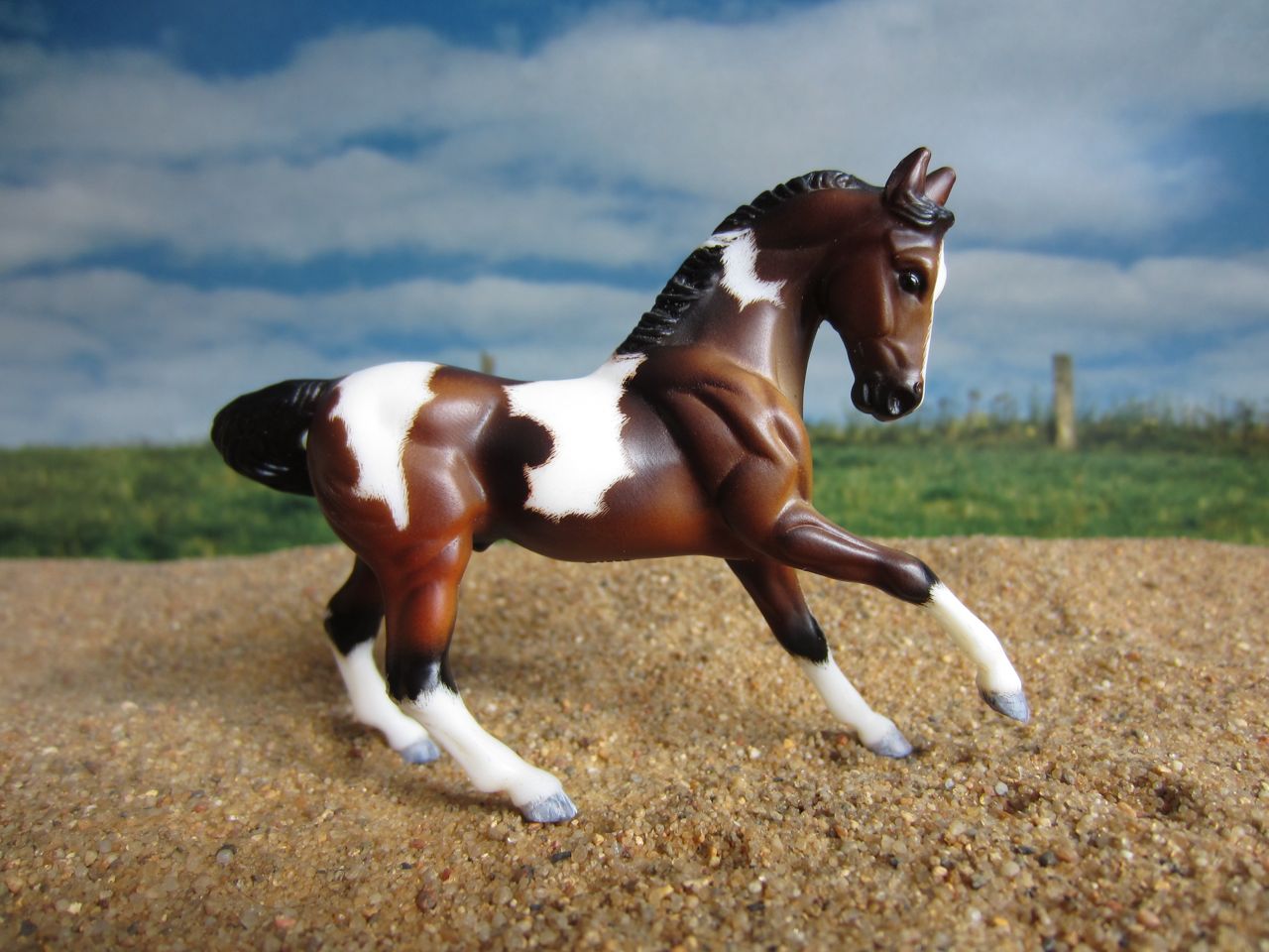 WB
                      braun 2