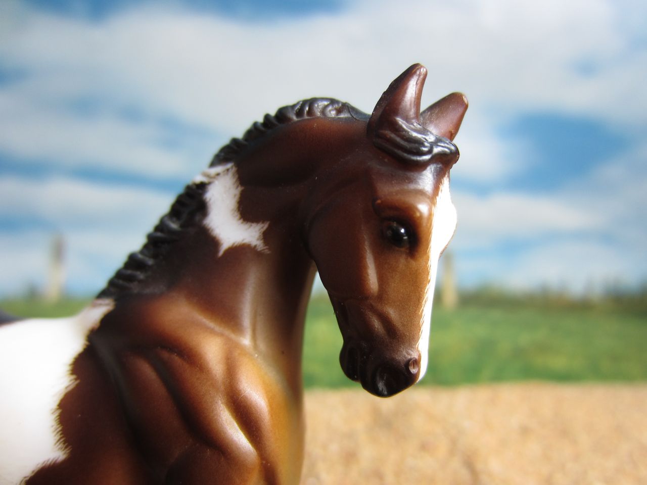 WB
                      braun 4