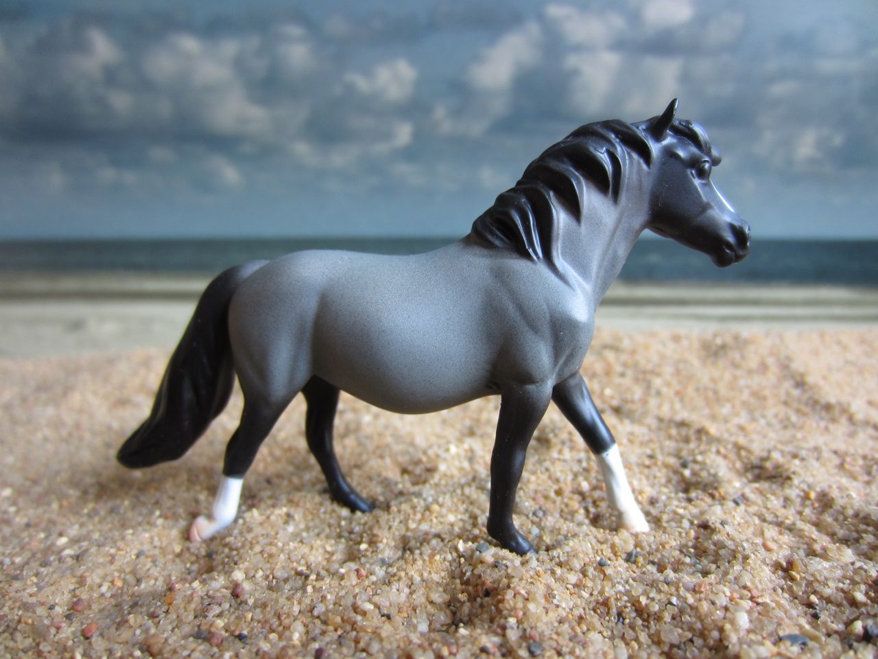 Chips
                      1