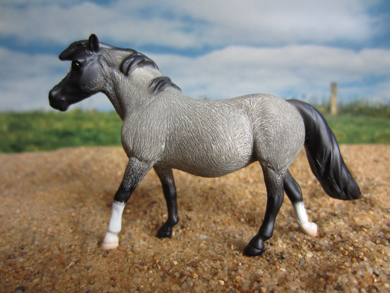 Chips
                      3