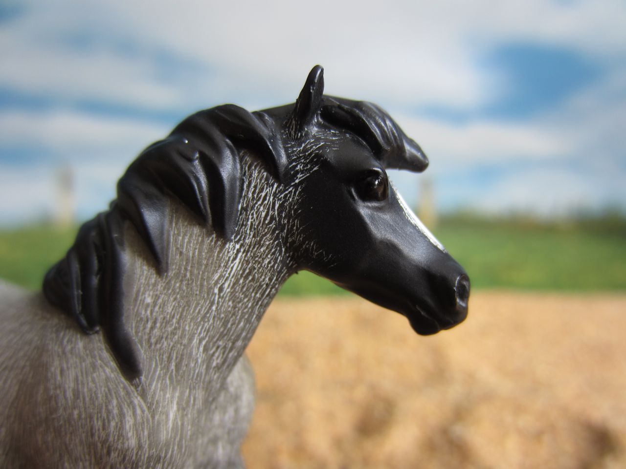 Chips
                      4