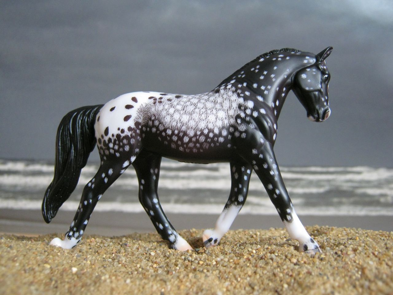 WEG
                      Rappe 3