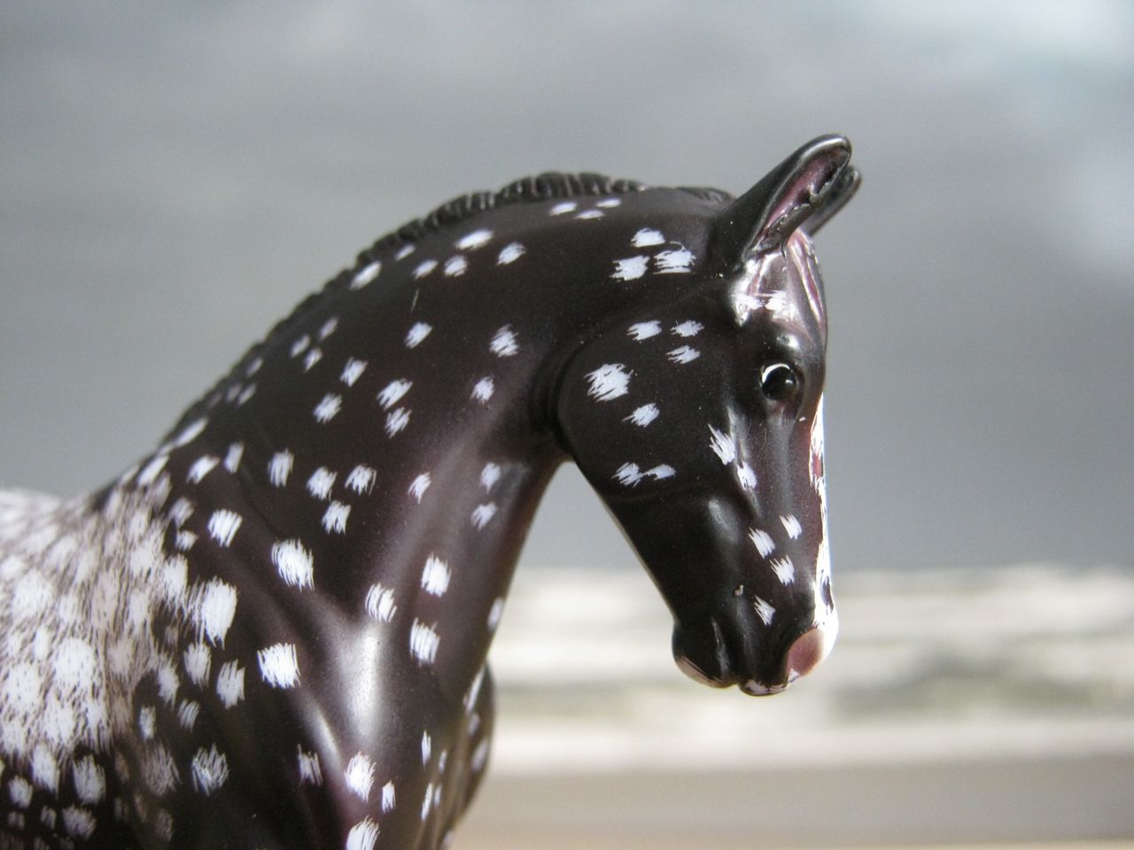 WEG
                      Rappe 4