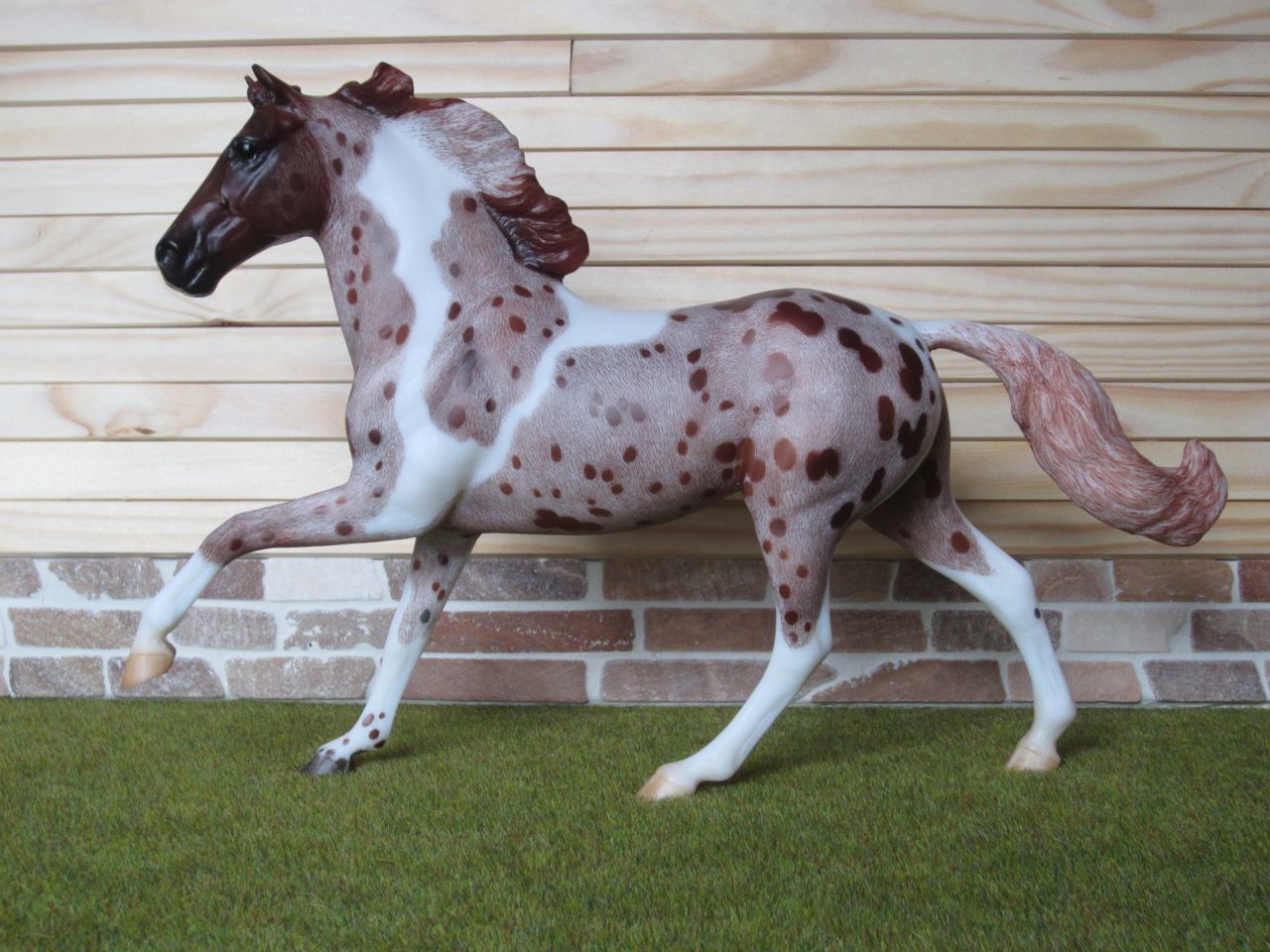 Flash
                      Fuchs 2