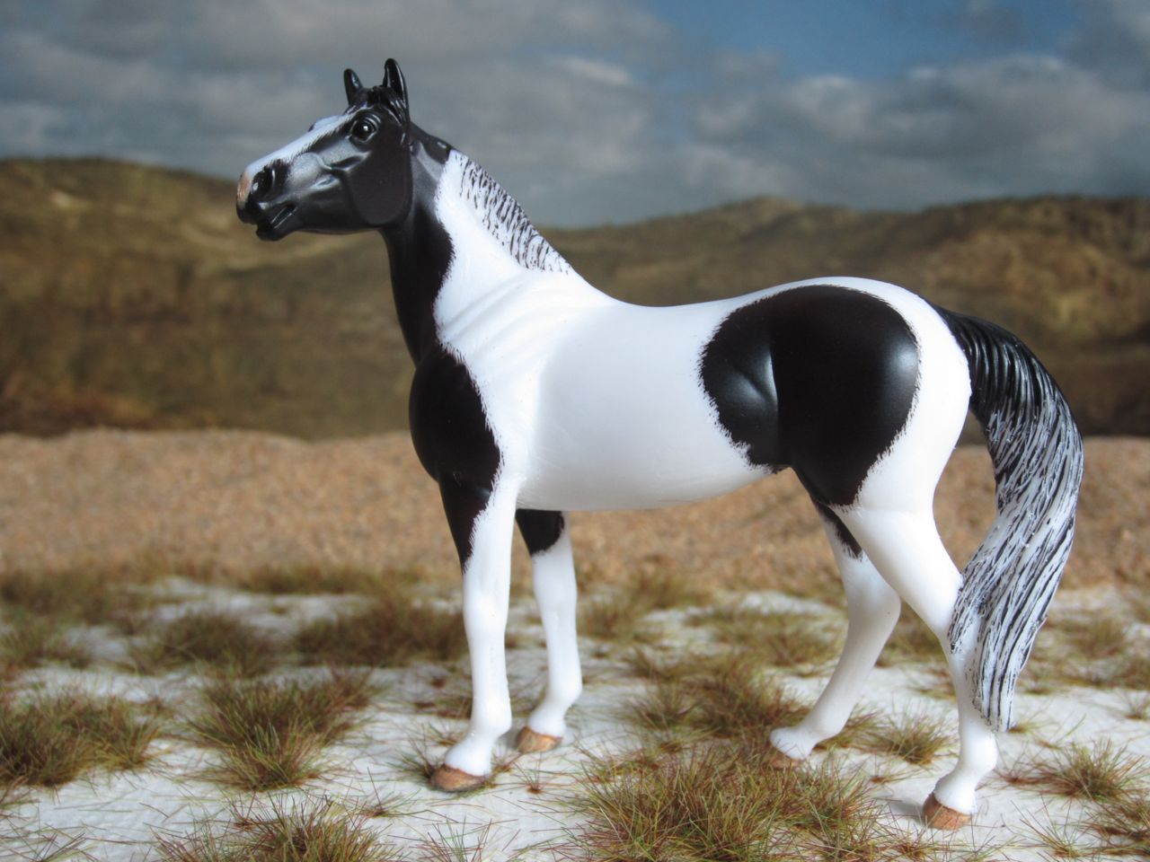 SH
                      Rappe 2