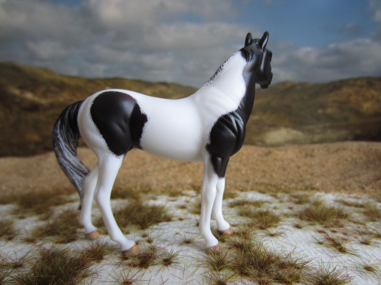 SH
                      Rappe 3