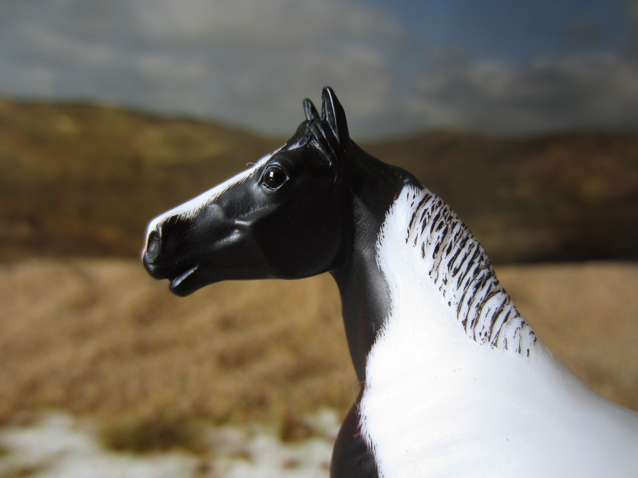 SH
                      Rappe 4