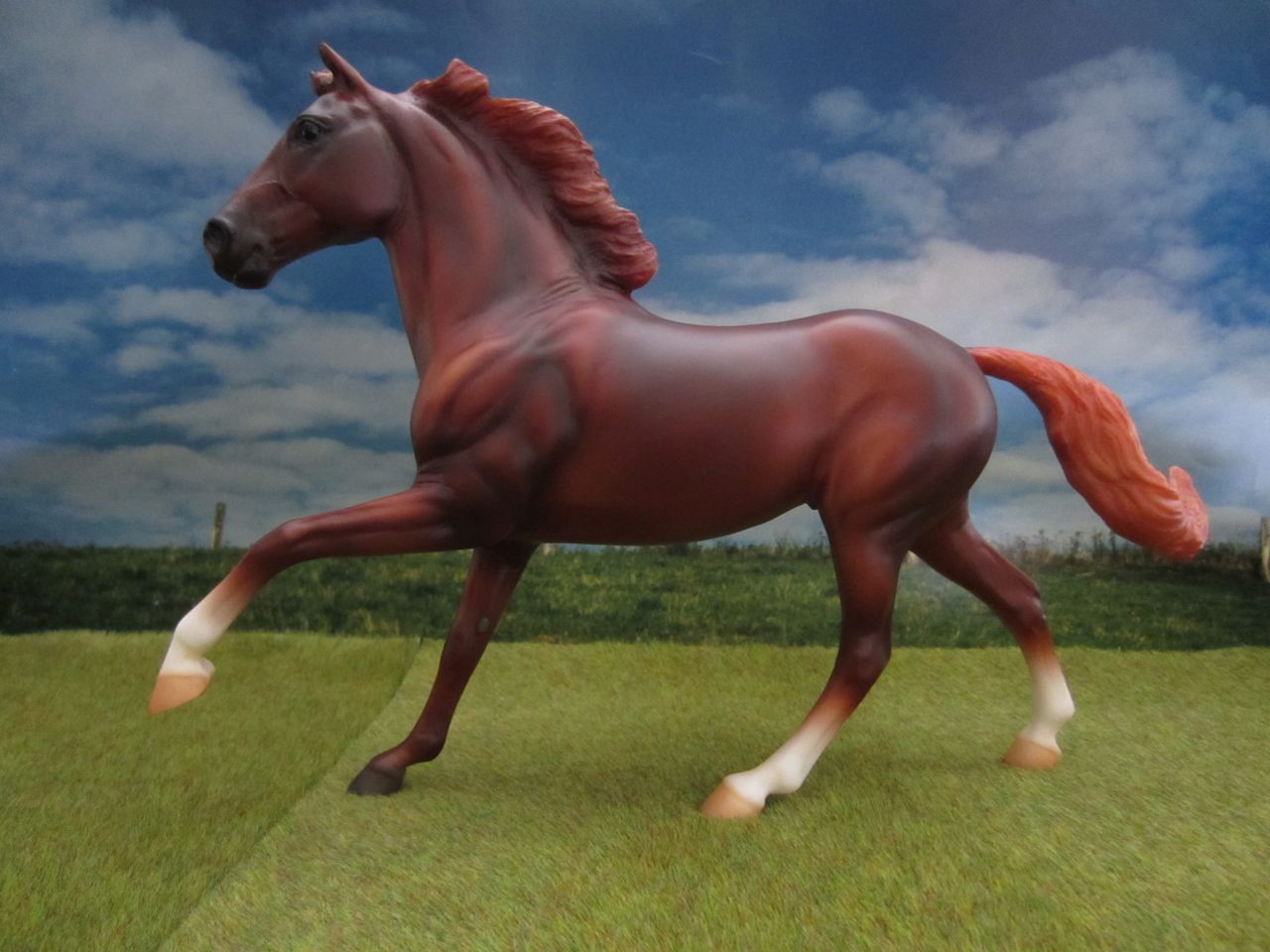 Flash
                      Fuchs 1