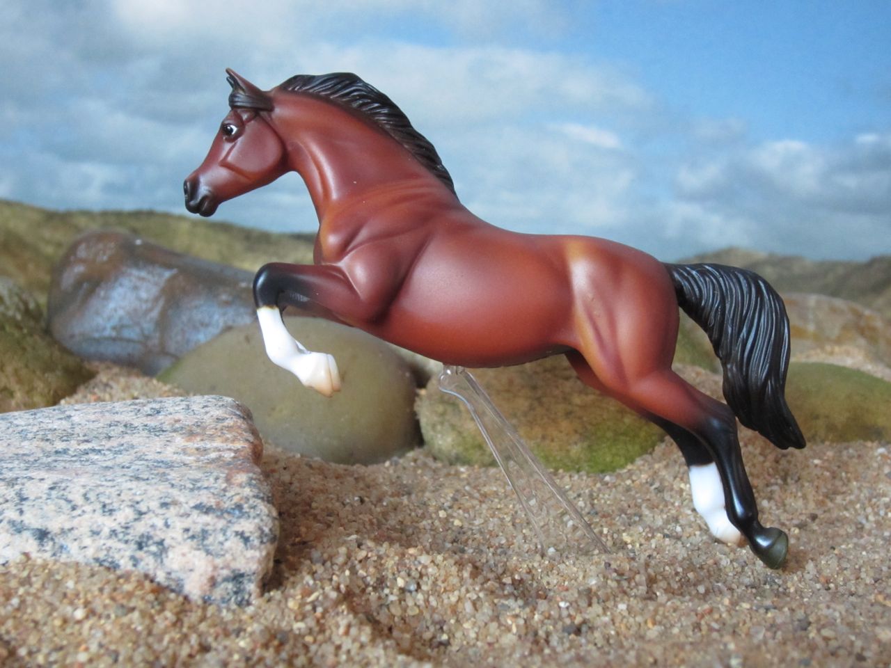 WEG
                      braun 1