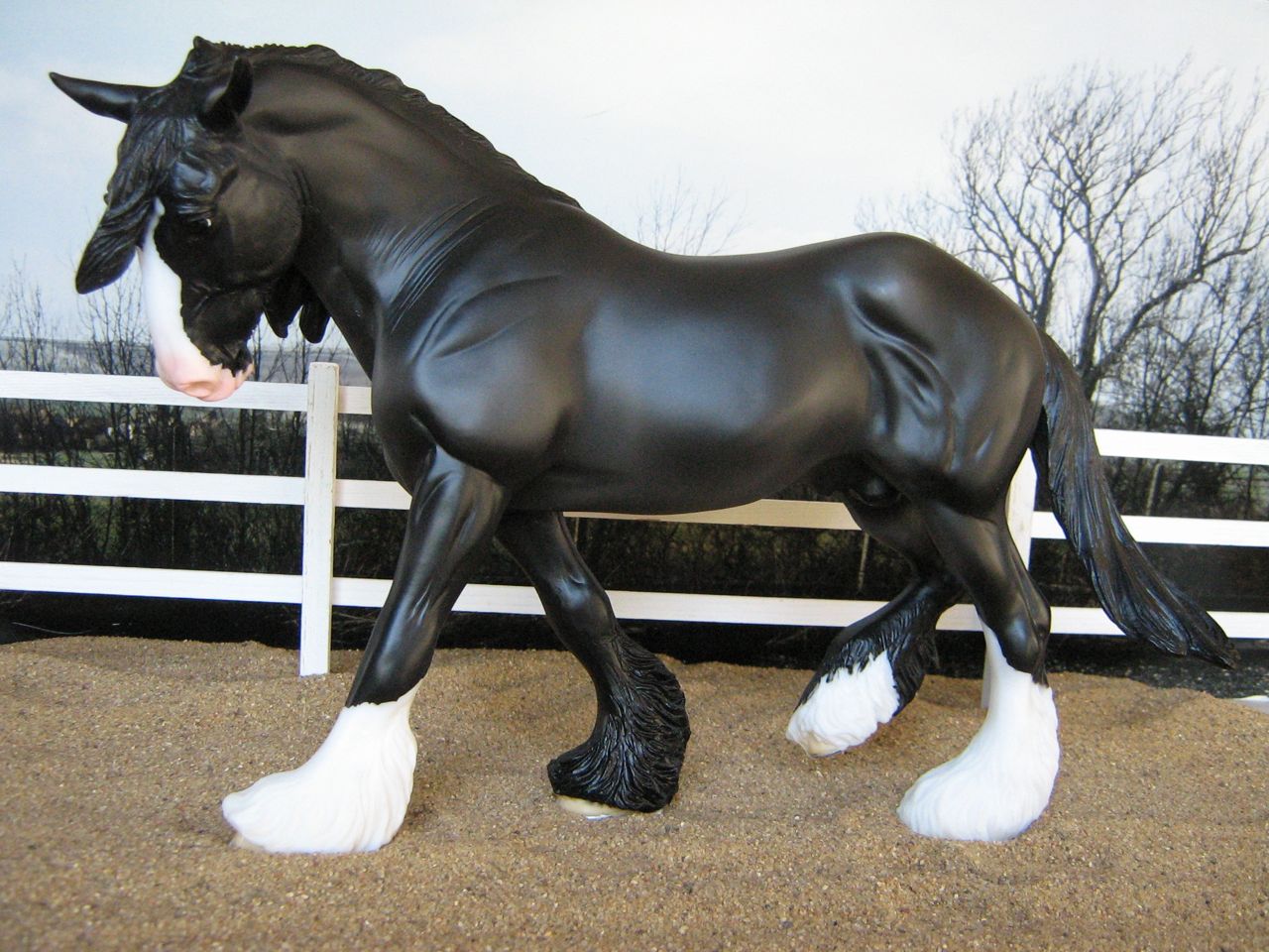 Fox
                      Valley Oliver 1