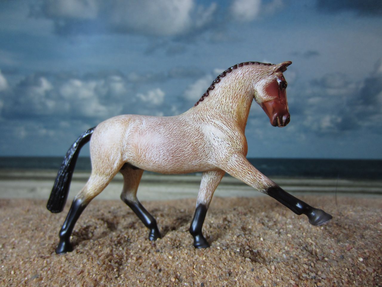 WB
                      braun 3